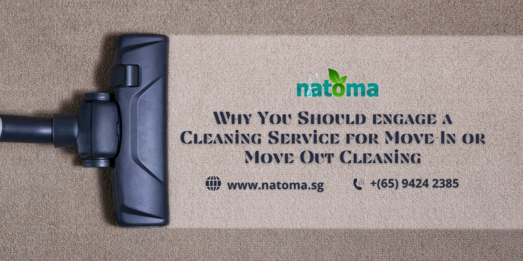 natoma blog