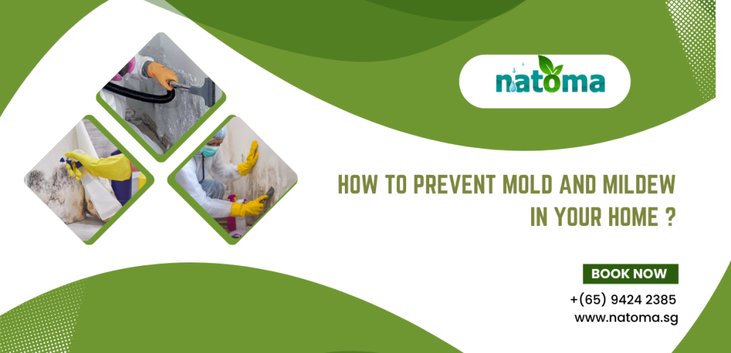 How to prevent mold and mildew in your home?