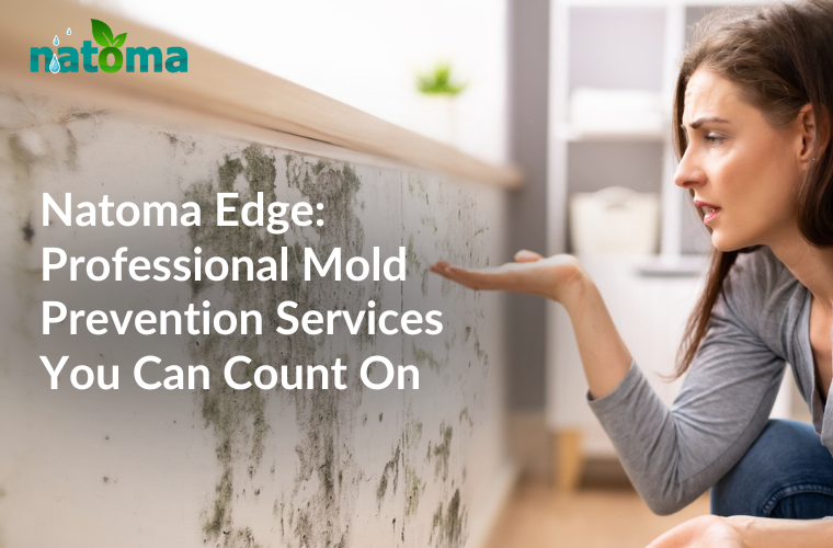 Commercial Cleaning Services